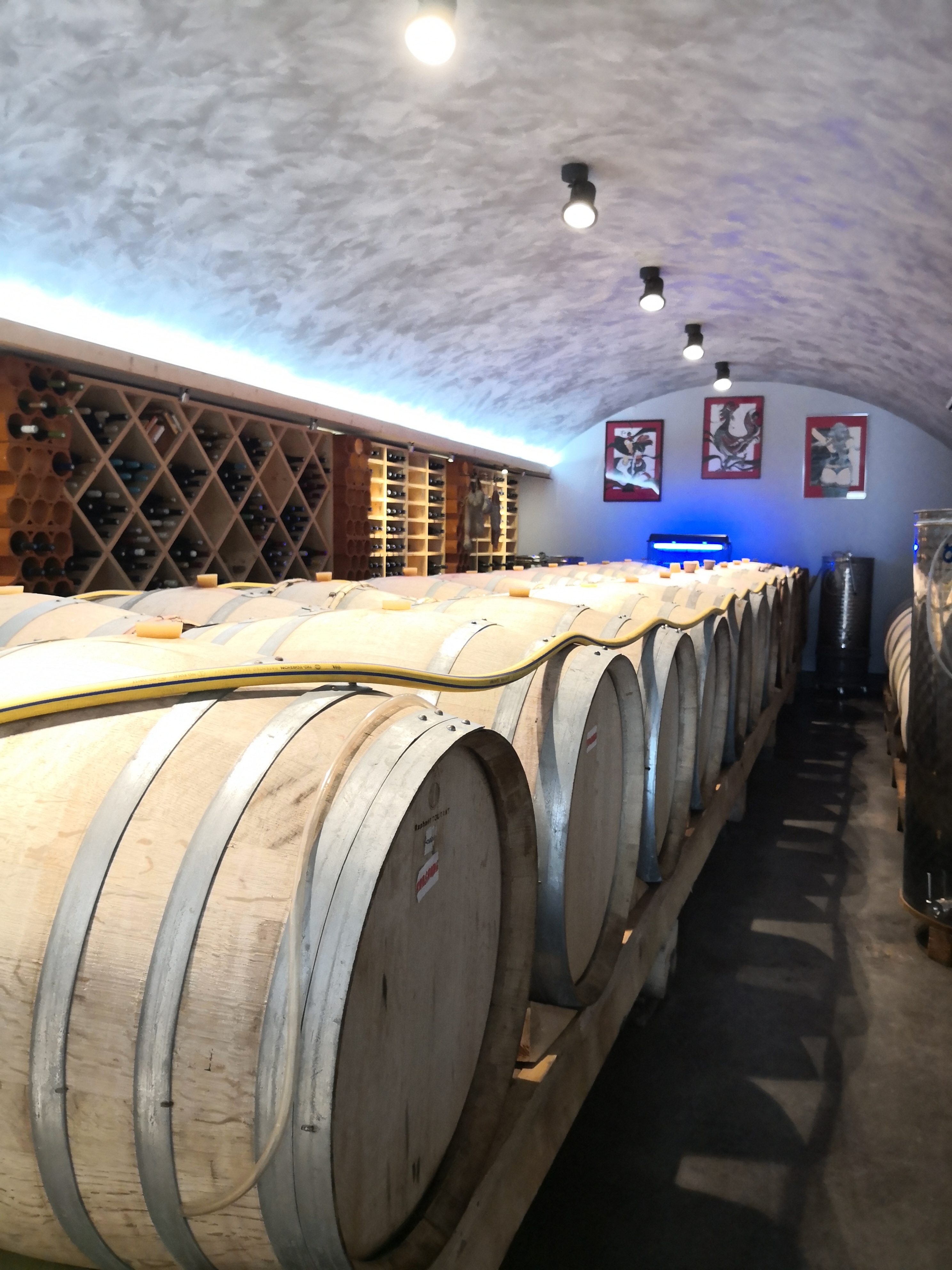 barriques